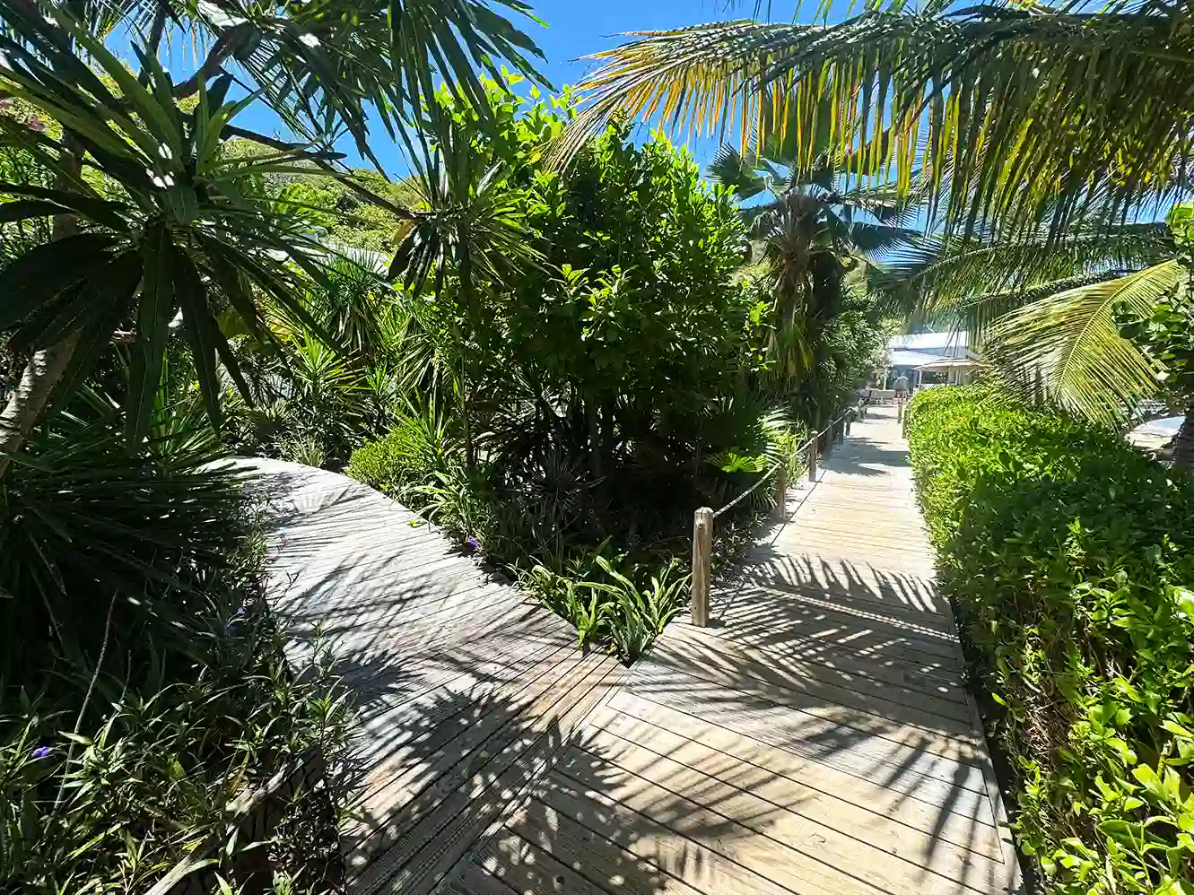 Boardwalks on Cooper Island