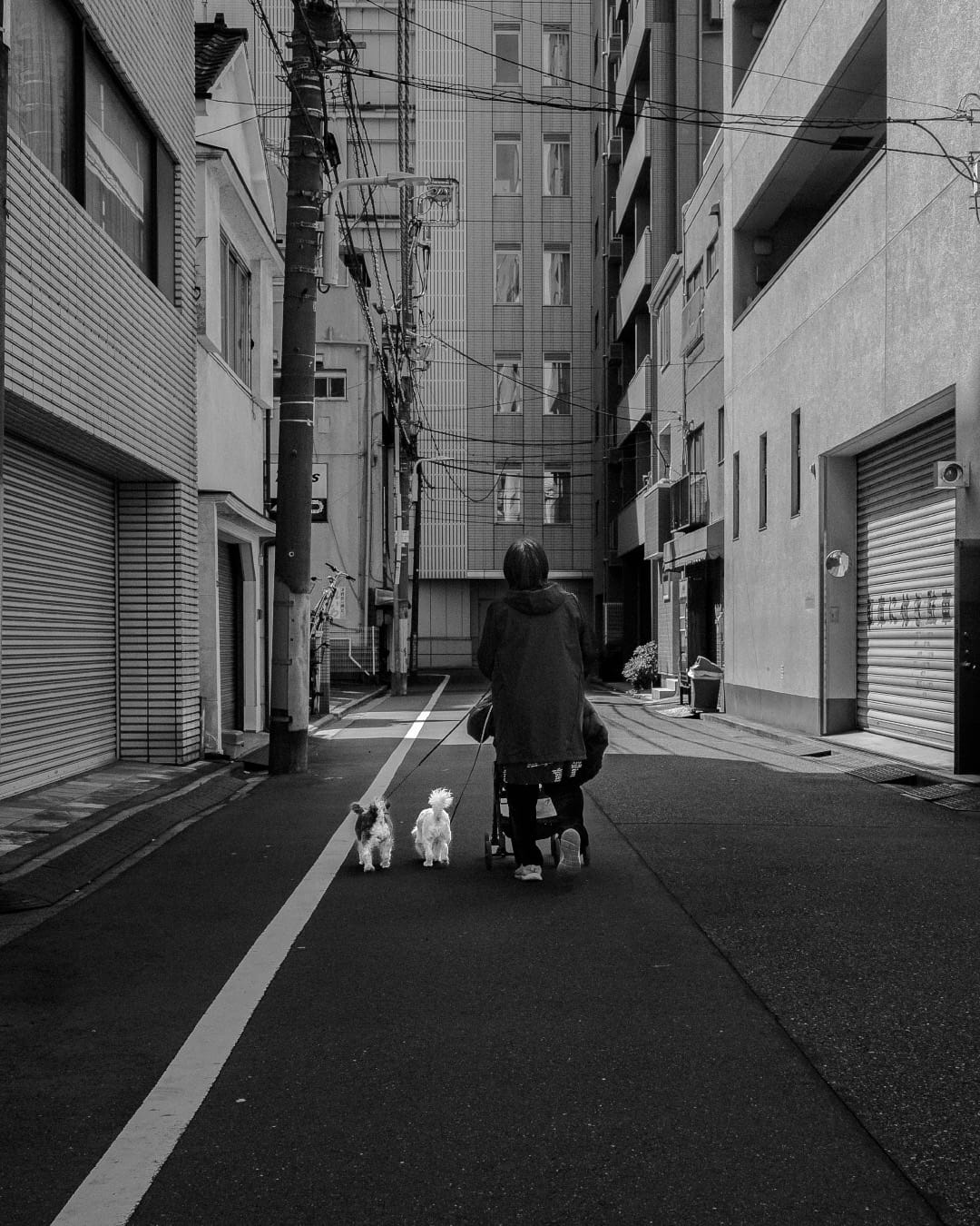 A woman and her dogs somewhere in Asakusa